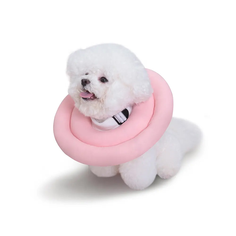 Atkuriamas šuo Elžbietos kūgio apykaklė Elizabethan Cat Pet Collar
